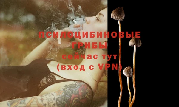 кокаин колумбия Белокуриха